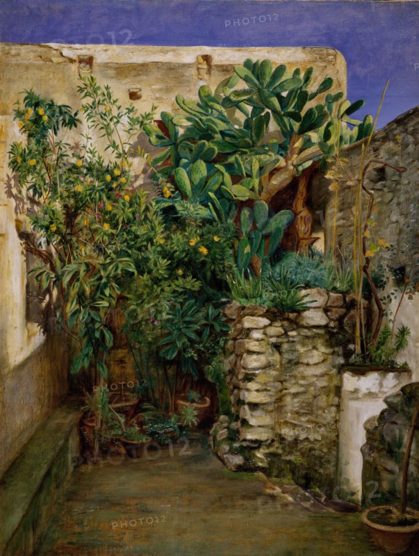 Corner of an Eastern Courtyard