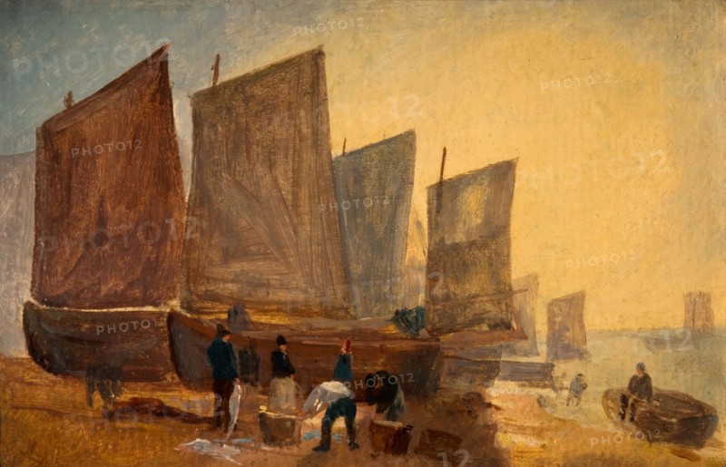 Fishing Boats