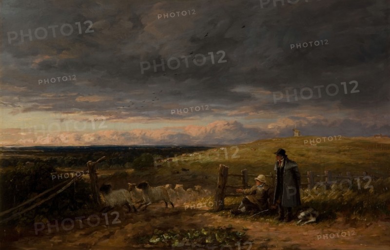 Changing Pasture