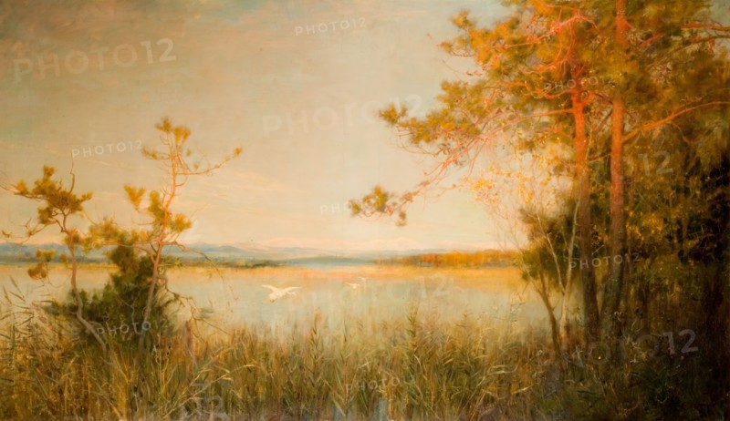 Reedy Mere And Sunlit Hills