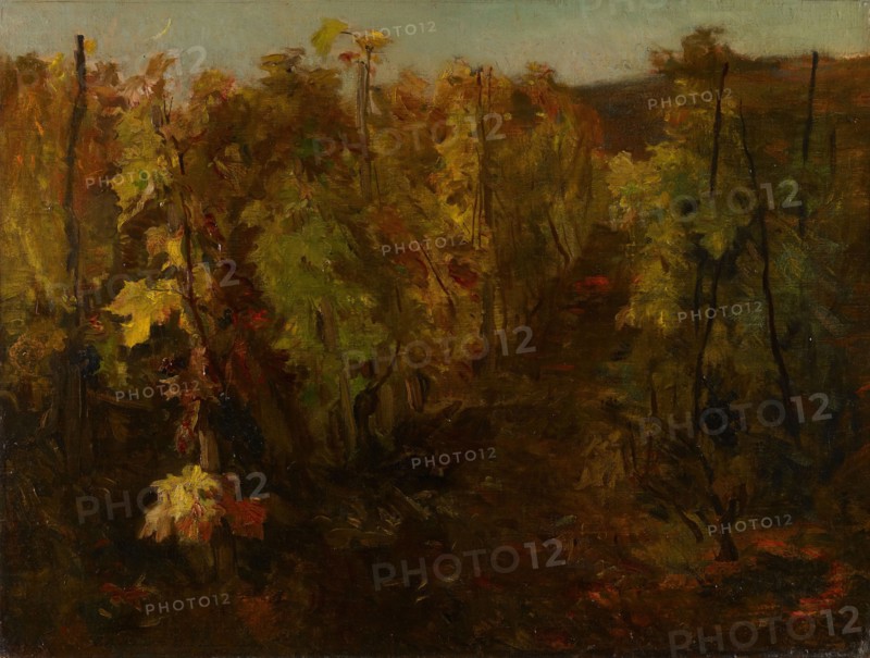 La Vigne [The Vine]