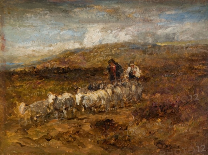 Welsh Shepherds