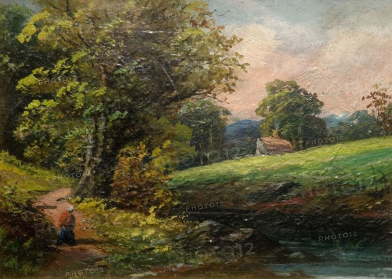 The Dingles Near Sarehole