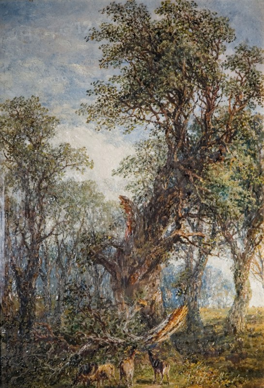 The Broken Bough
