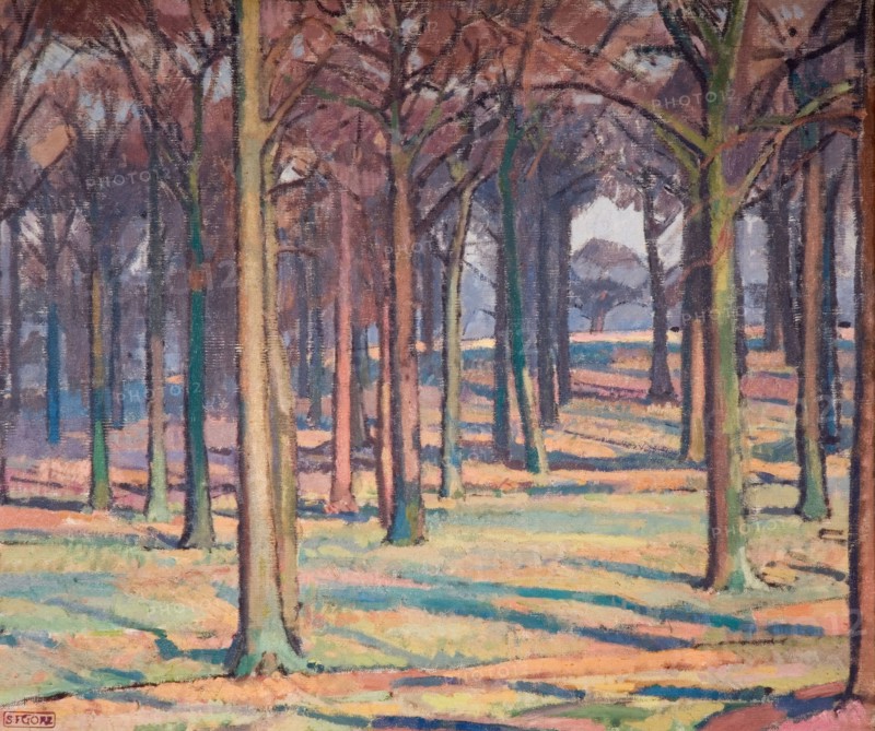 Wood in Richmond Park