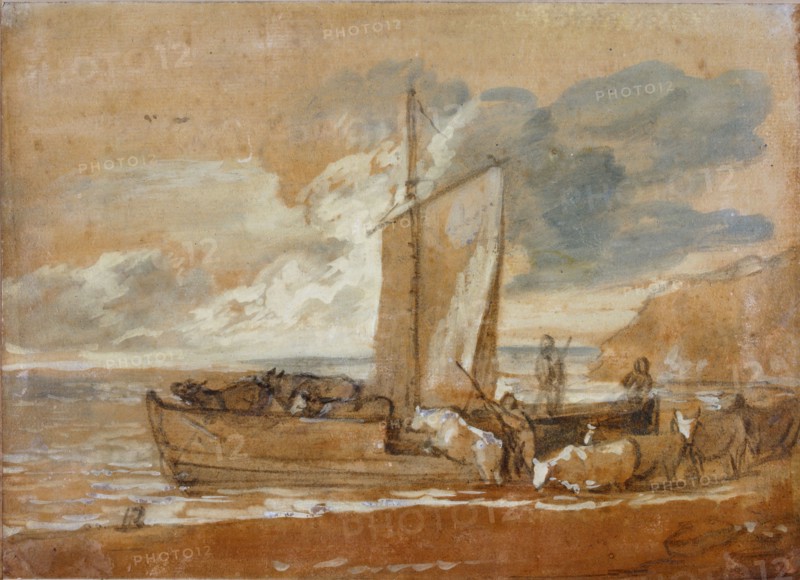 A Cattle Ferry