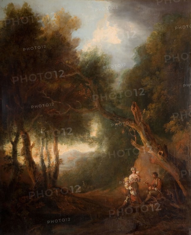 A Wooded Landscape