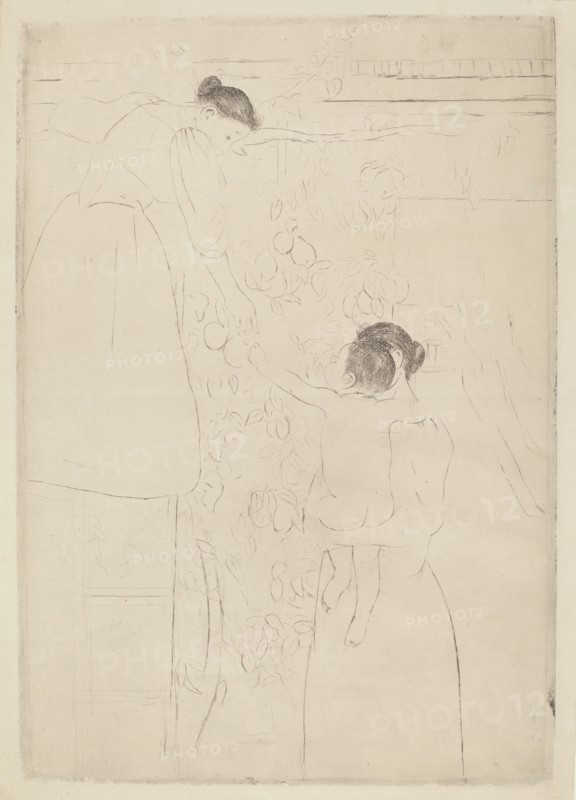Gathering Fruit