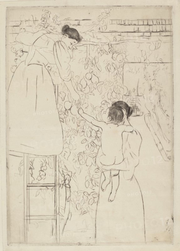 Gathering Fruit