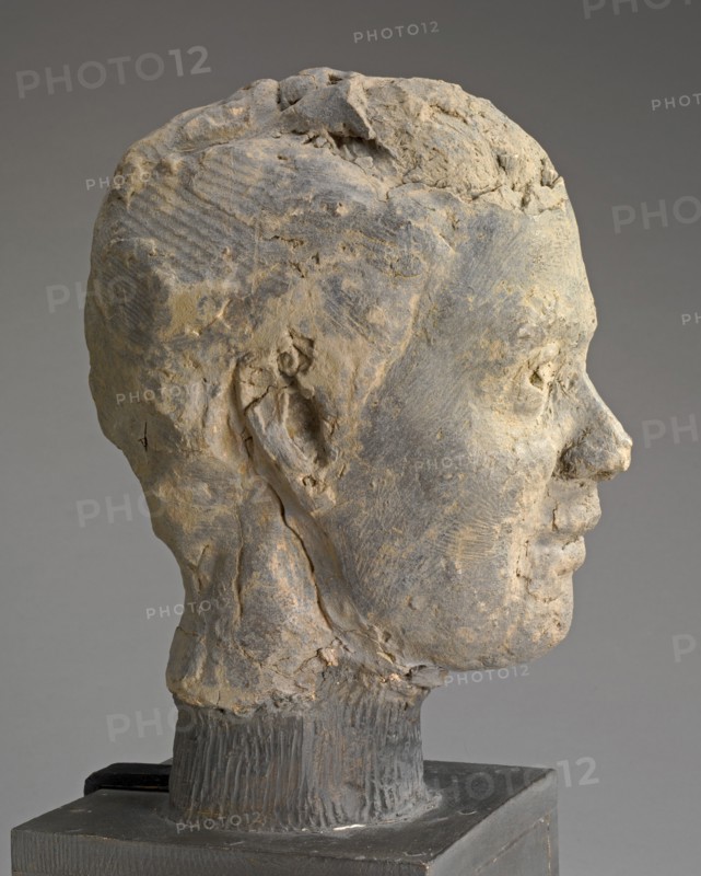 Head