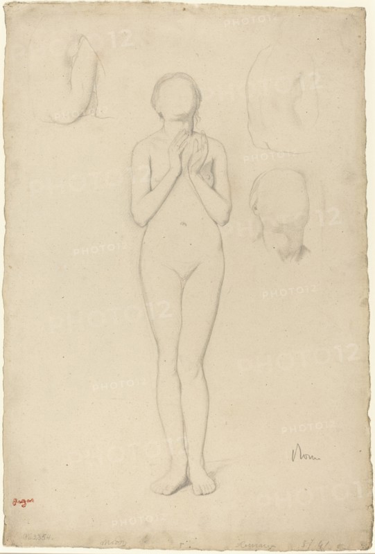 Study of a Female Nude