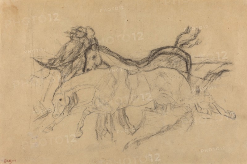 Racehorses