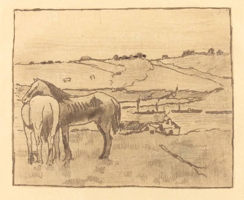 Horses in the Meadow