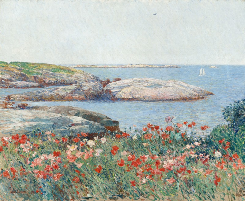 Poppies