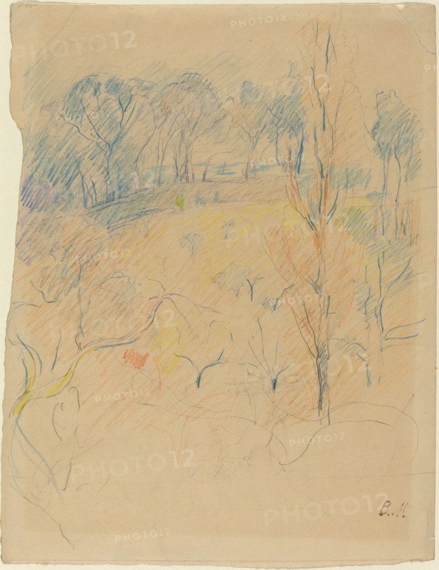 Spring Landscape