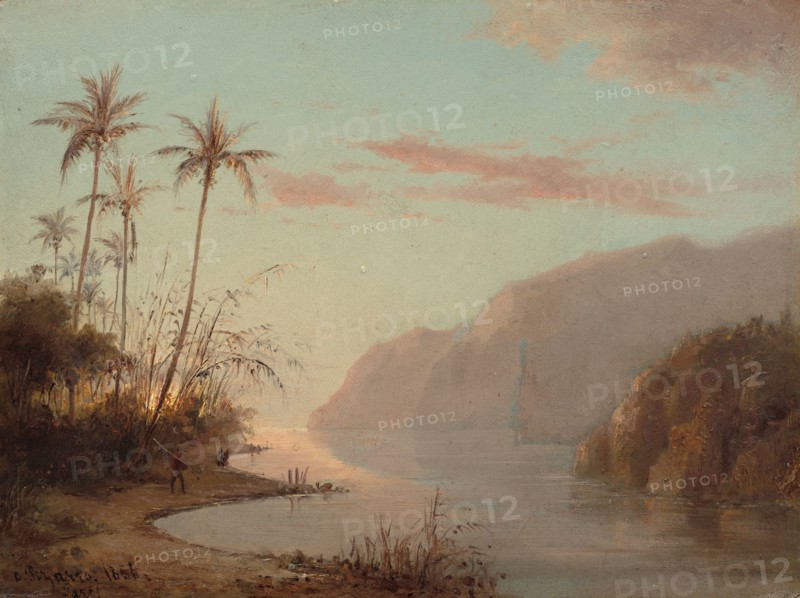 A Creek in St. Thomas