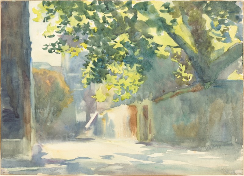 Sunlit Wall Under a Tree
