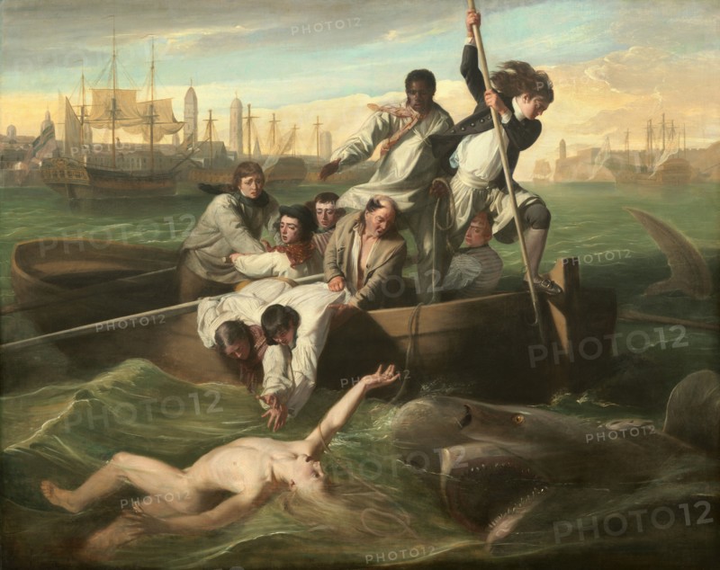Watson and the Shark