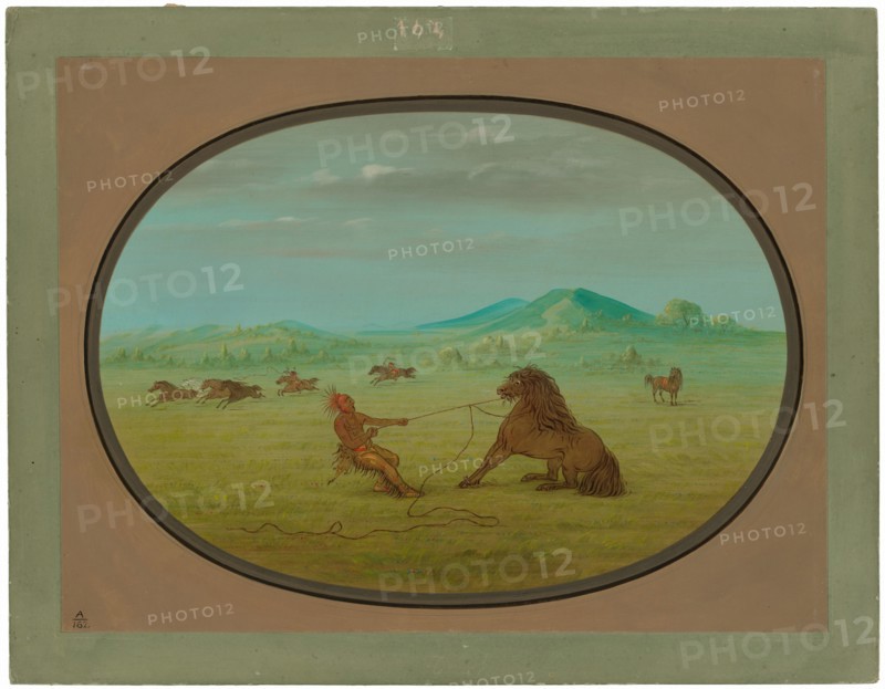 Catching Wild Horses - Pawnee