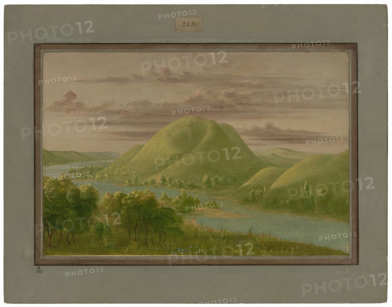 Curious Grassy Bluffs