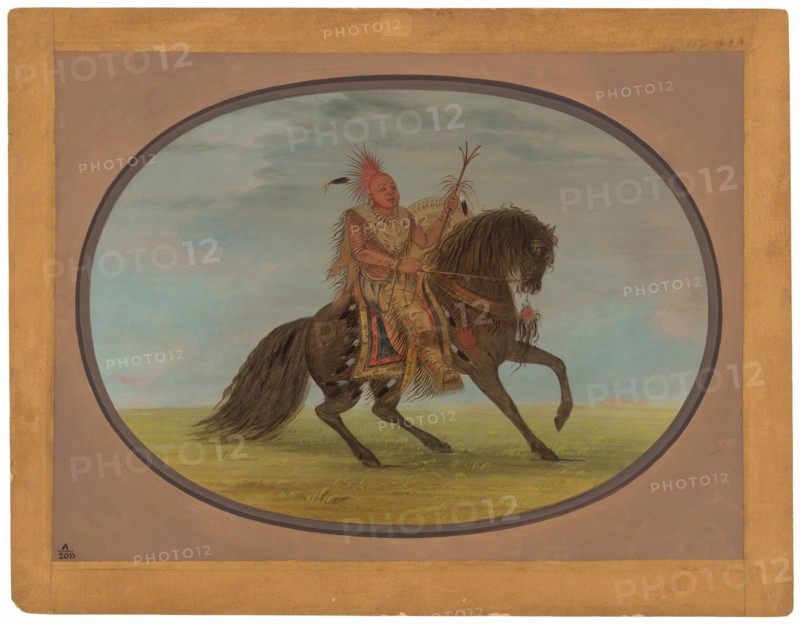 The Running Fox on a Fine Horse - Saukie