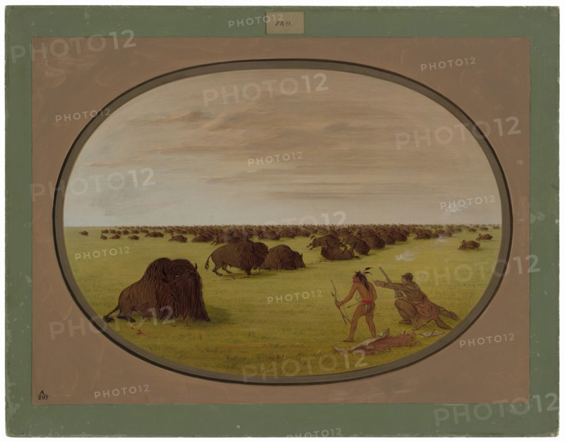 Catlin and Indian Attacking Buffalo