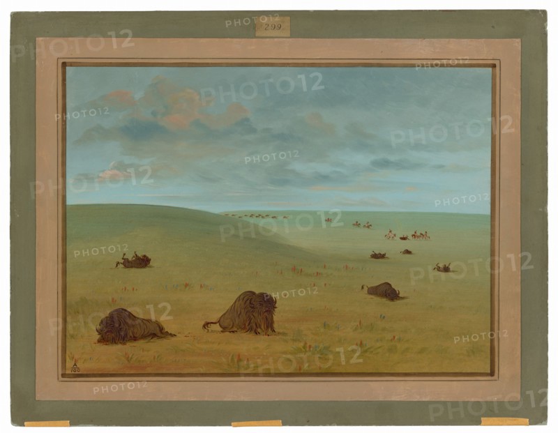 After the Buffalo Chase - Sioux