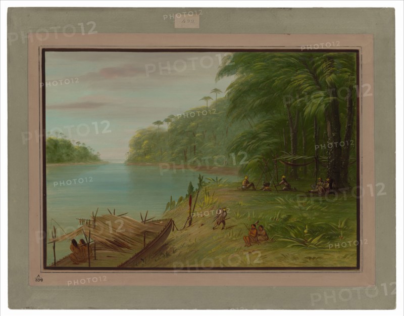Shore of the Essequibo