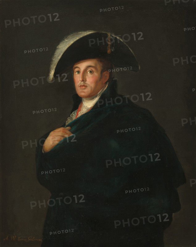 The Duke of Wellington