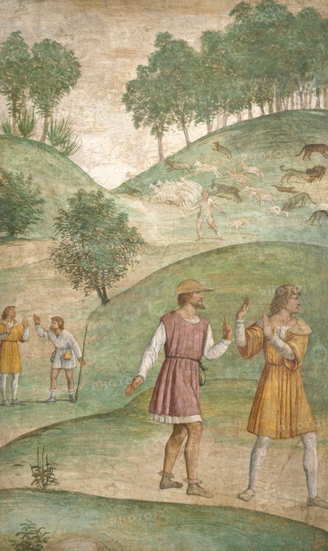 The Misfortunes of Cephalus