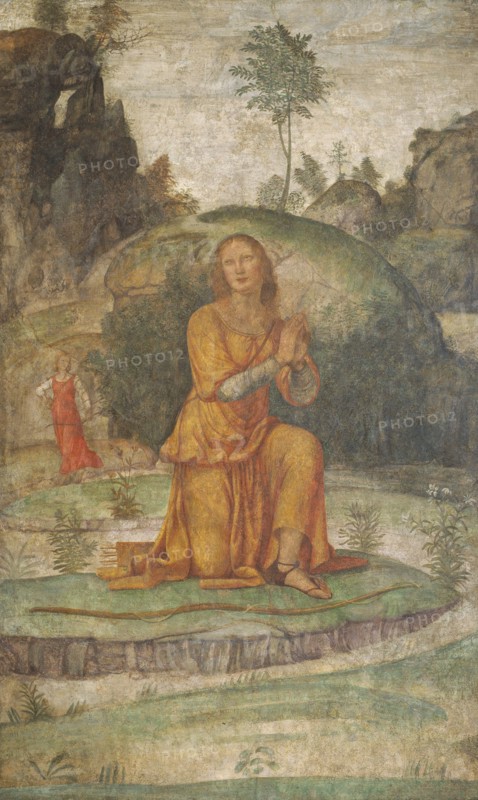 Procris' Prayer to Diana