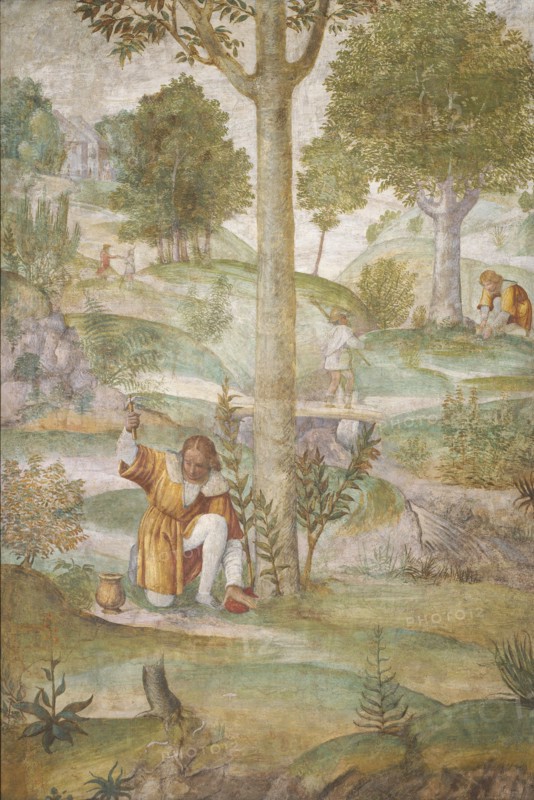 Cephalus Hiding the Jewels
