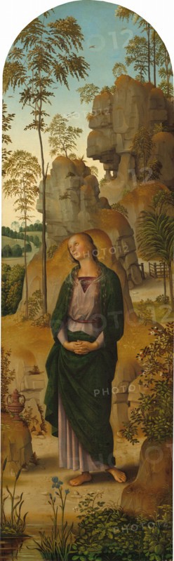 The Crucifixion with the Virgin