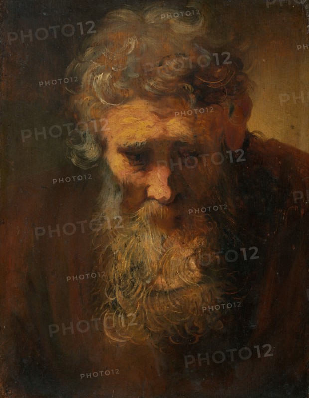 Study of an Old Man
