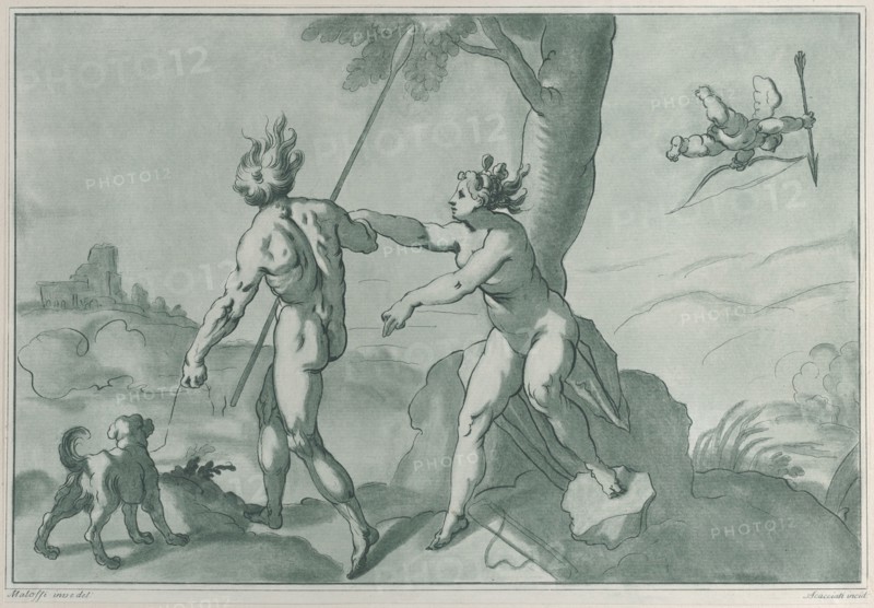 Venus and Adonis
