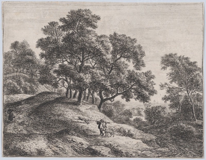 The Rabbit Hunter