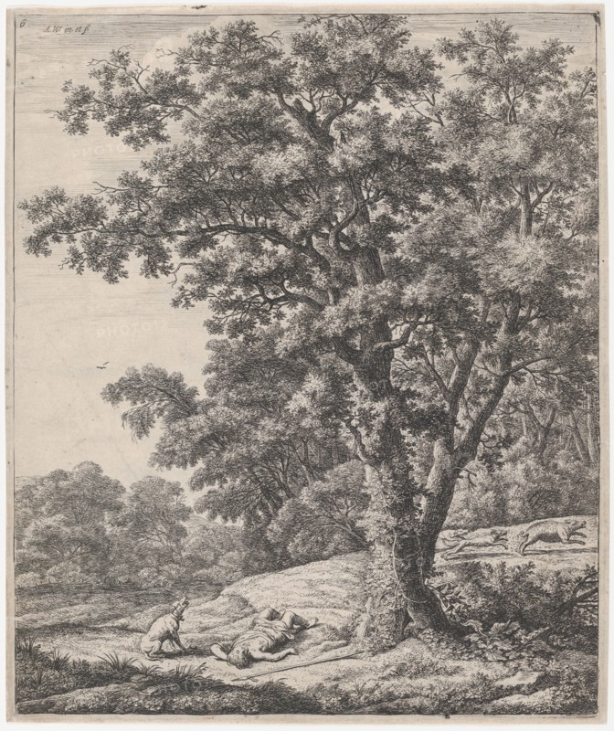 The Death of Adonis