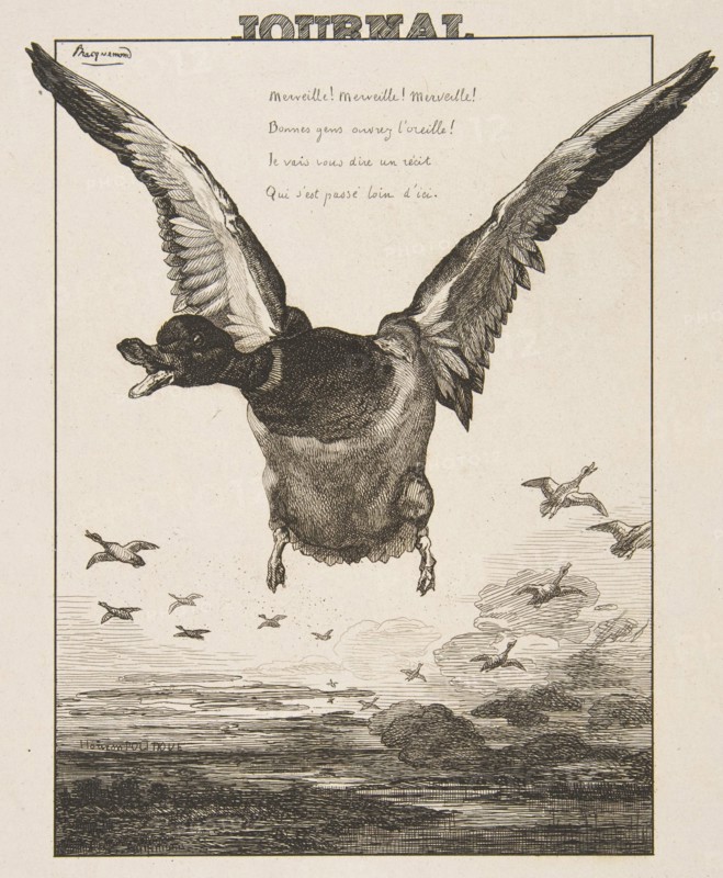 Le Canard