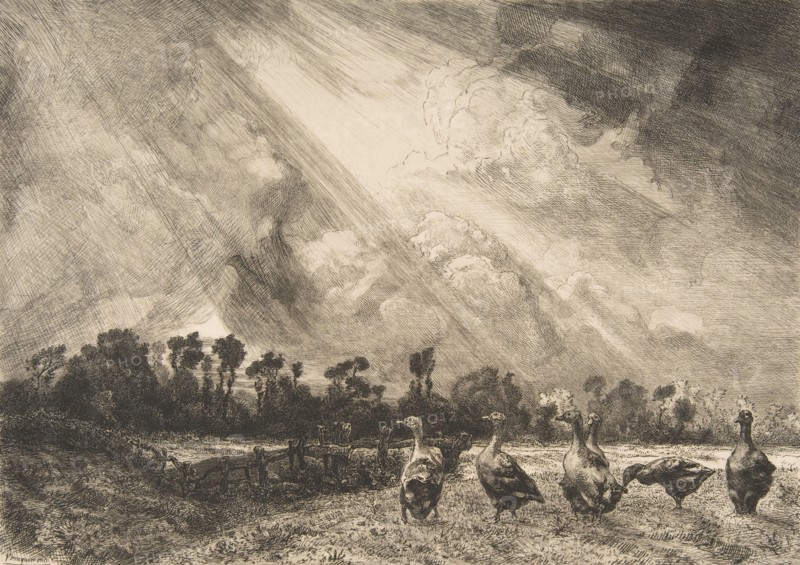 La Nuée d'orage