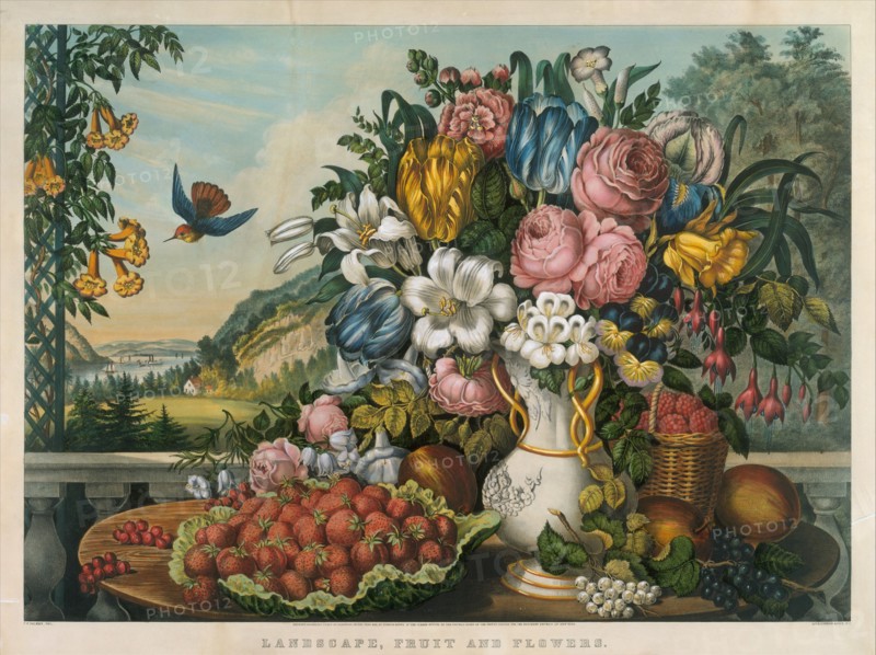 Landscape - Fruit and Flowers