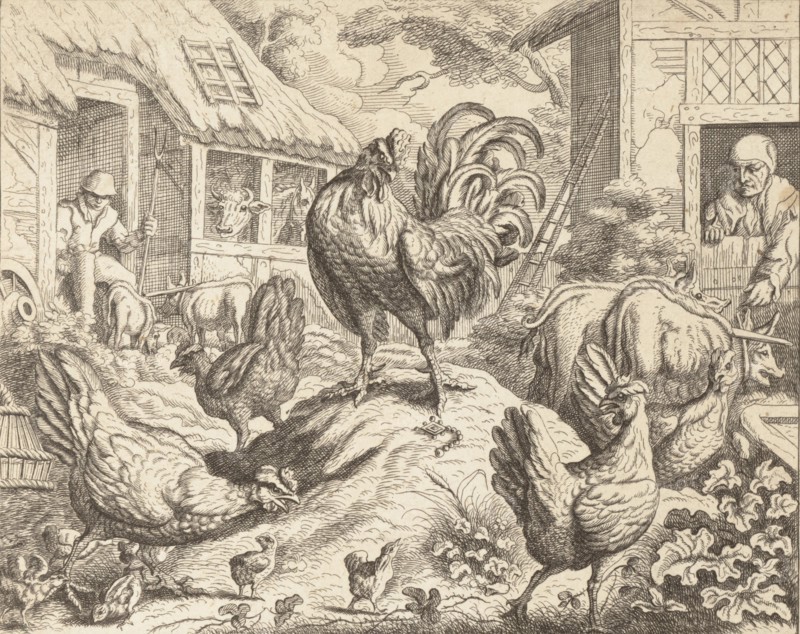 The Cock and the Precious Stone
