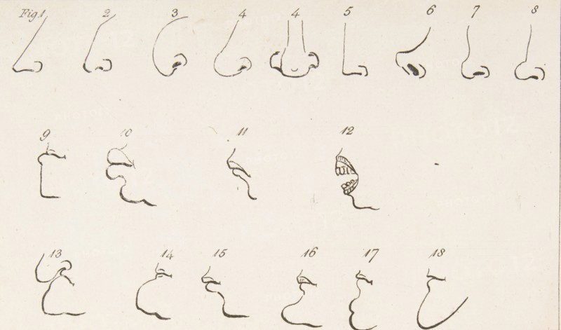 Plate II