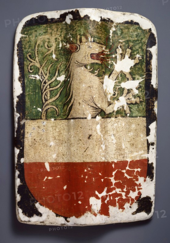 Shield