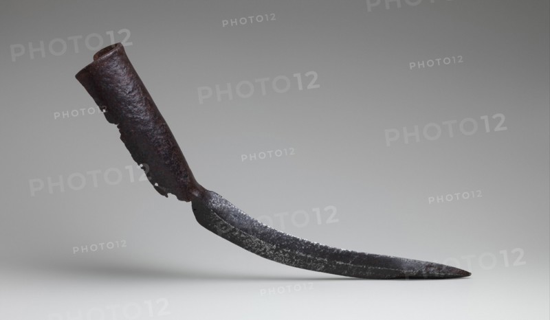 Elephant Sword