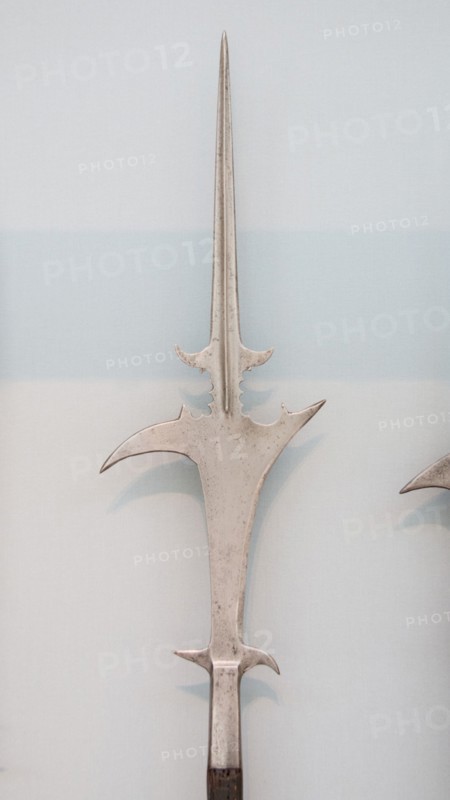 Scorpione