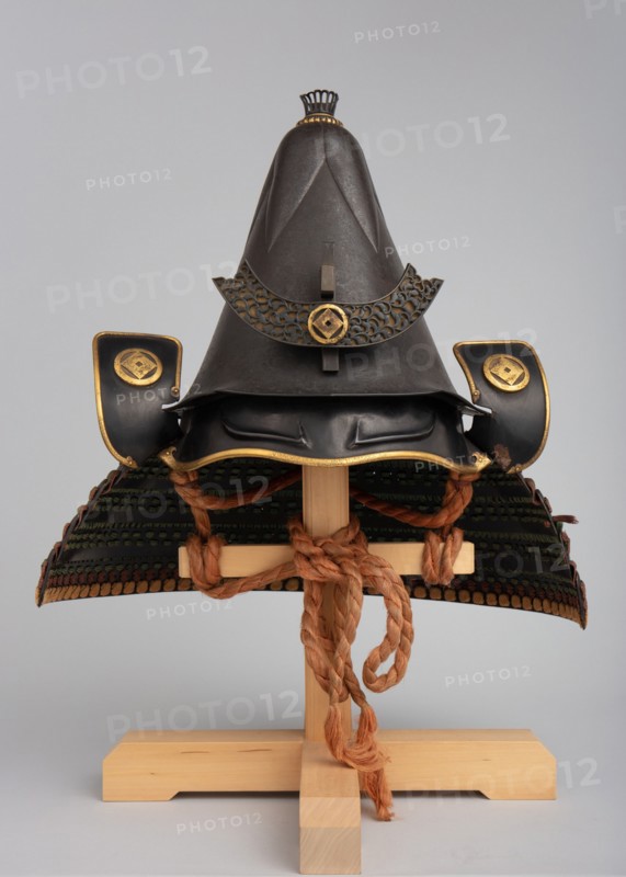 Helmet in the Shape of an Eggplant