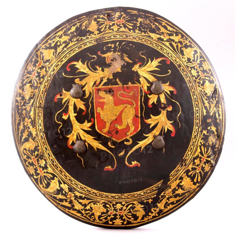 Shield