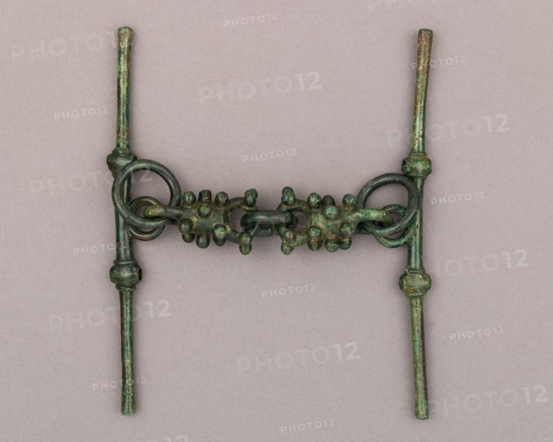 Snaffle Bit