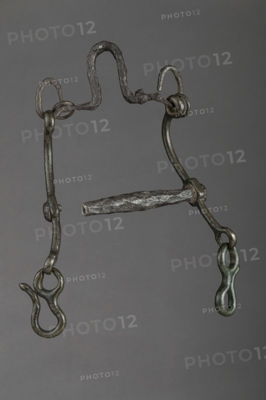 Curb Bit