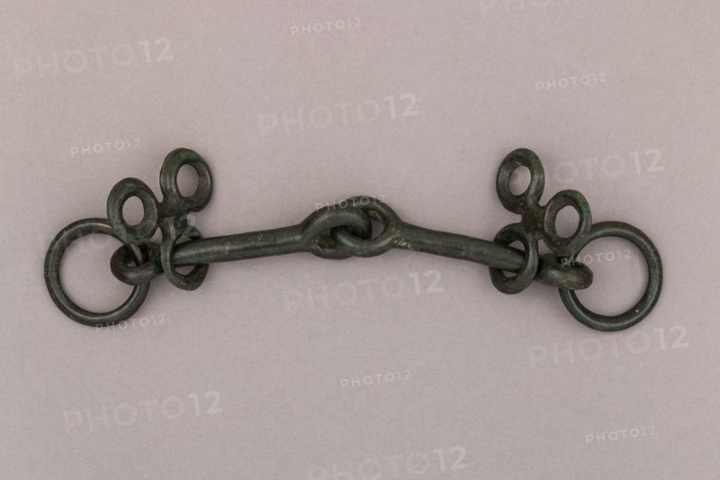 Snaffle Bit